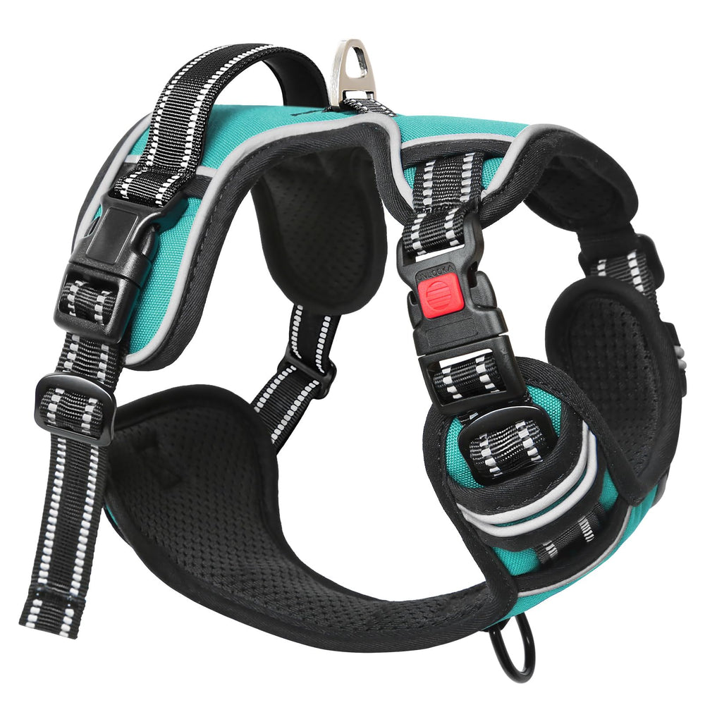 Timos dog harness turquoise breathable mesh lining keeps dogs cool on warm days.