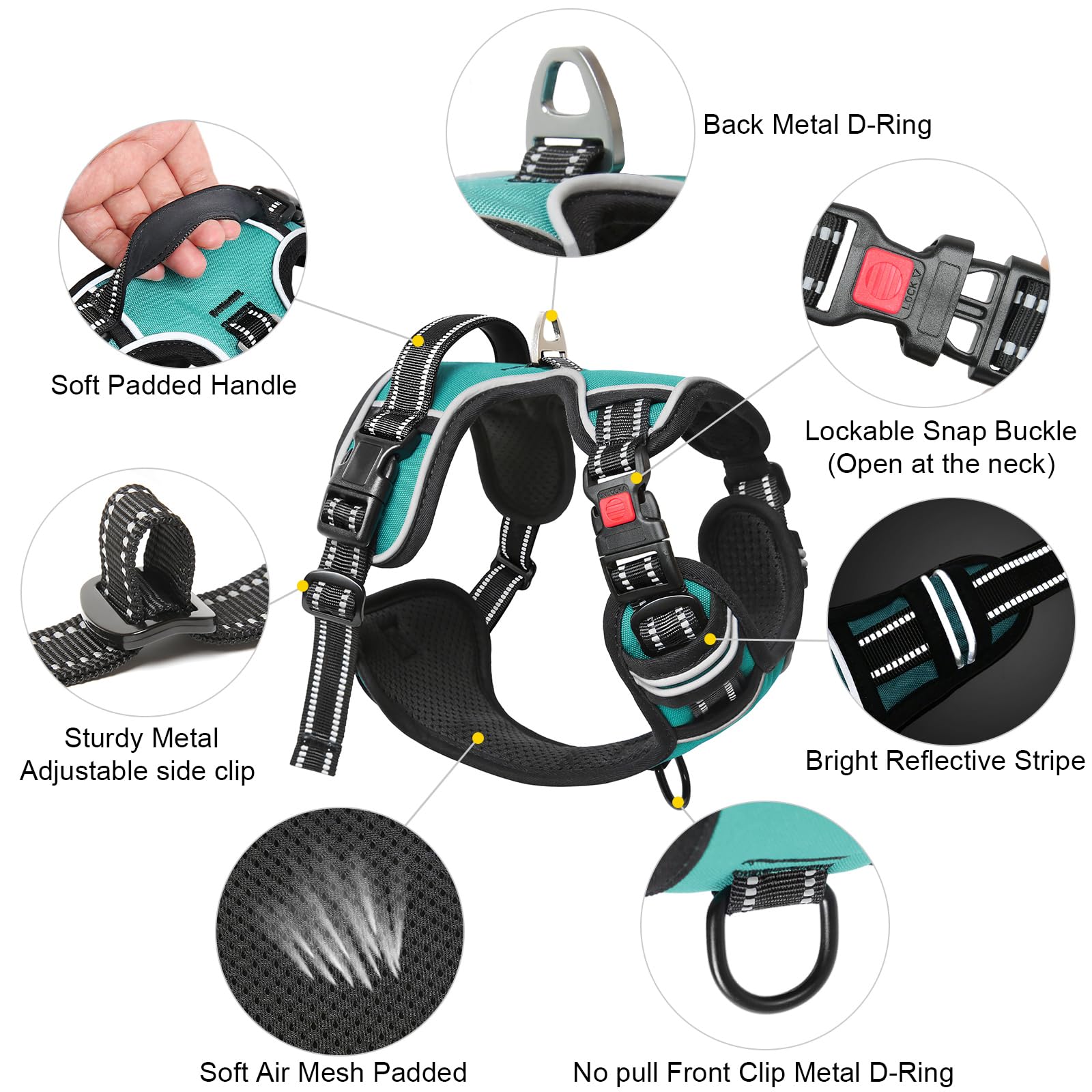 Timos dog harness turquoise reflective strip boosts visibility during dusk walks.