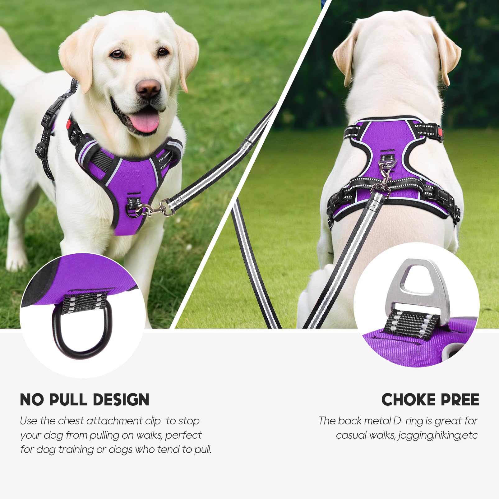 Timos dog harness two leash rings support training and casual walking.