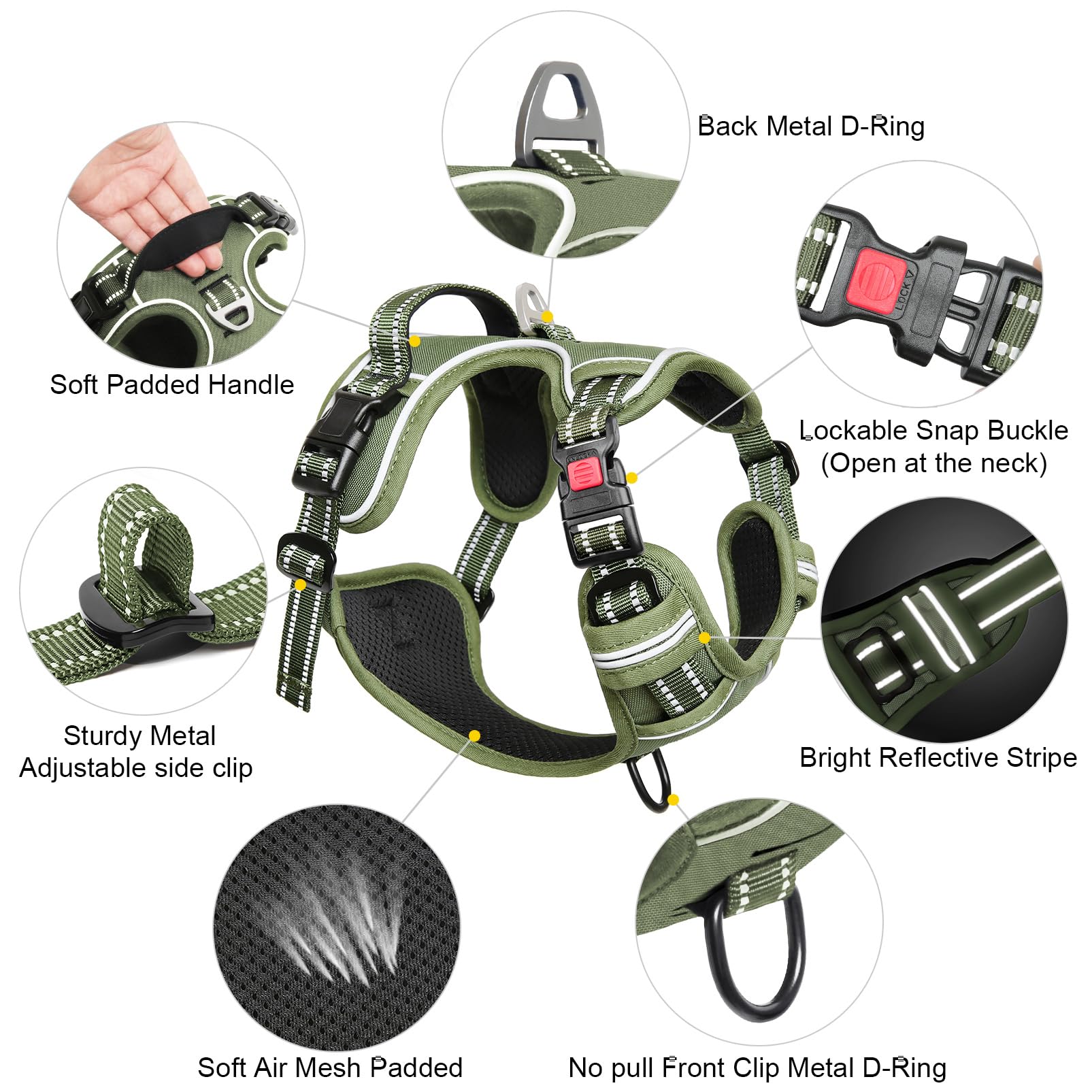 Timos dual leash rings support safer walking and effective training