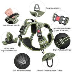 Timos dual leash rings support safer walking and effective training