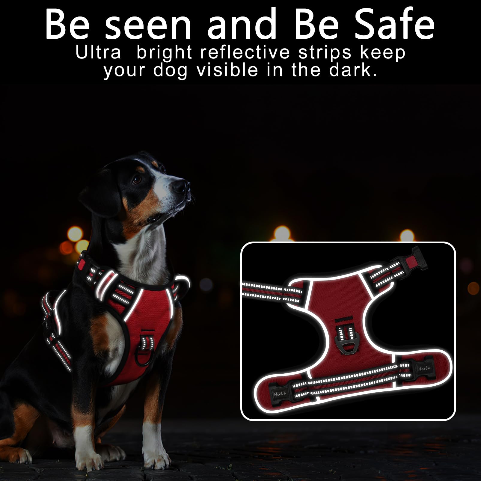 Timos no-pull design with two leash rings supports training and steadier walks.