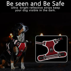 Timos no-pull design with two leash rings supports training and steadier walks.