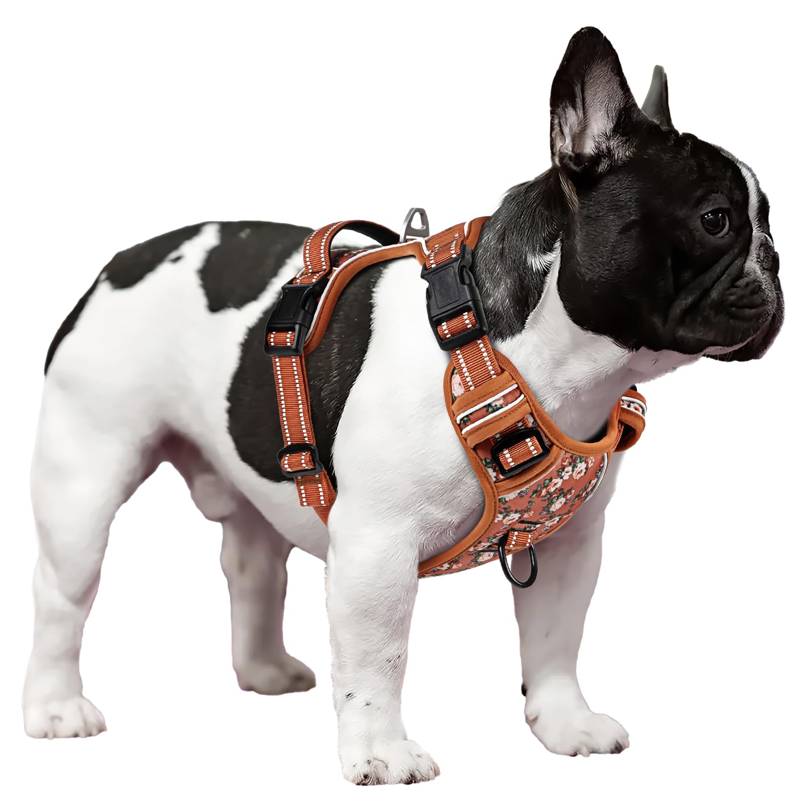 Timos XS size dog harness with neck and chest measurements for small dogs.
