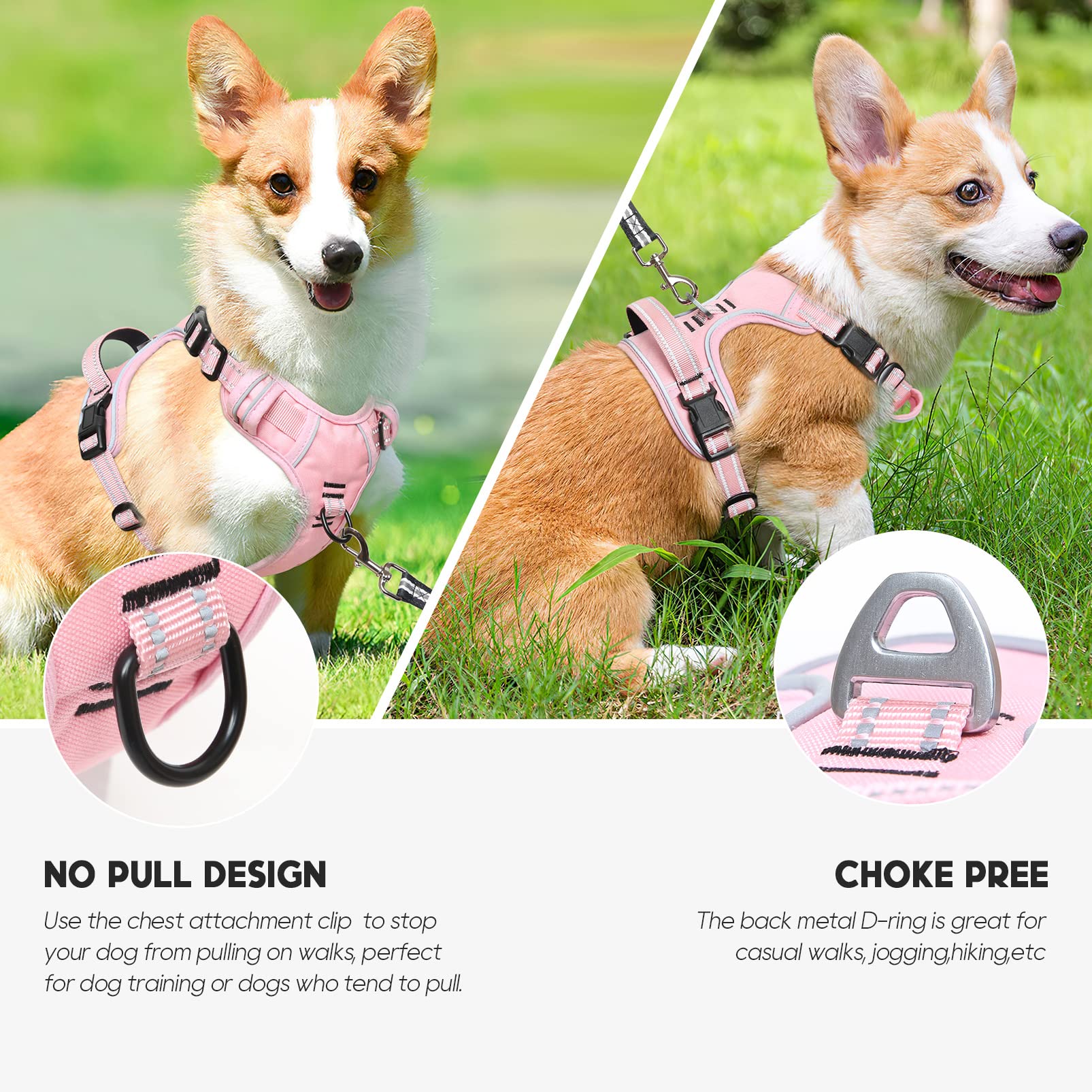 Timos No Pull Harness reflective strap at dusk enhances visibility for safer walks