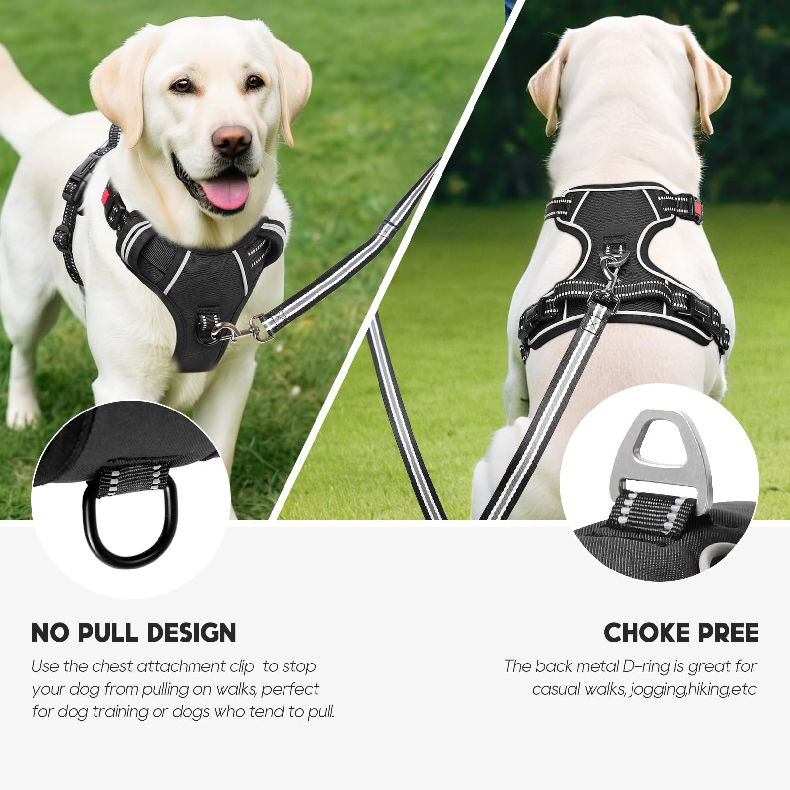 Timos No-Pull Harness back leash clip supports casual walks and jogging