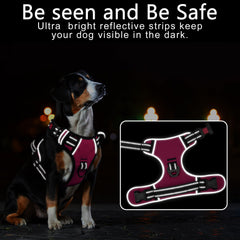 Timos harness shows dual leash rings for no-pull training and regular walks.