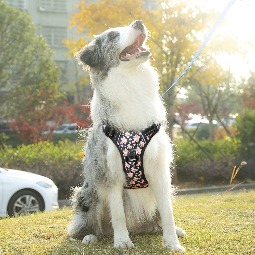 Timos No Pull harness four-way adjustable straps provide a secure fit