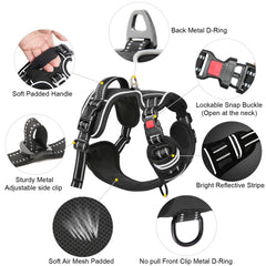 Timos No-Pull Harness front leash clip helps curb pulling
