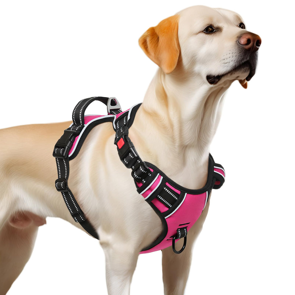 Timos No Pull Harness padded handle for close control during handling