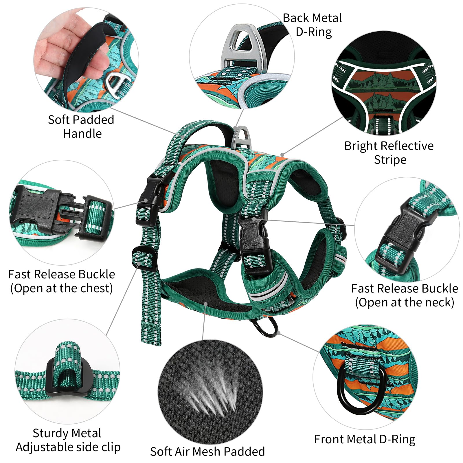 Timos padded mesh interior keeps dogs comfortable on longer walks