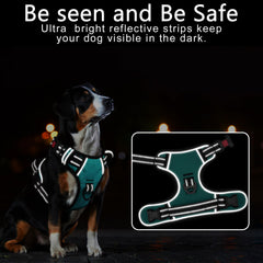 Timos No Pull Harness reflective trim improves visibility at night.