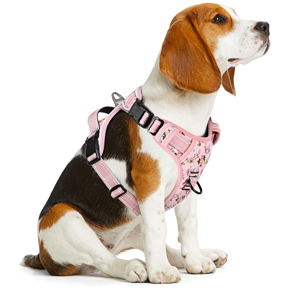 Timos No Pull Harness soft training handle for close guidance.