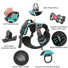 Timos No Pull Harness three-snap buckles enable quick on-off.