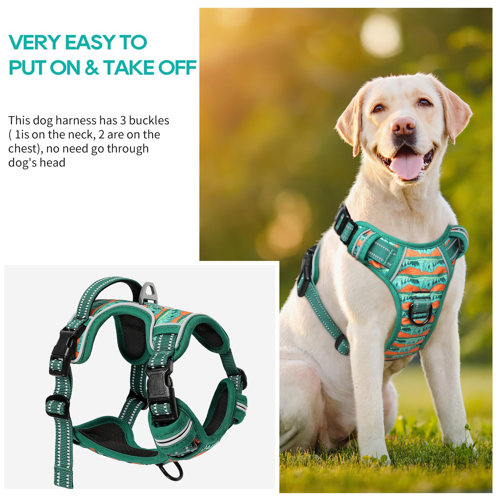Timos harness features two leash rings for safer control and training.