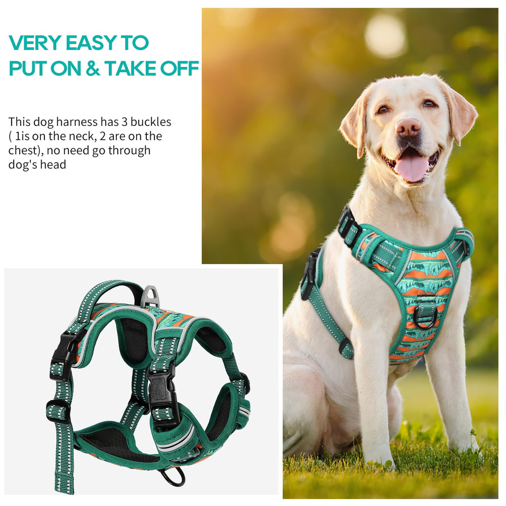 Timos harness features two leash rings for safer control and training.