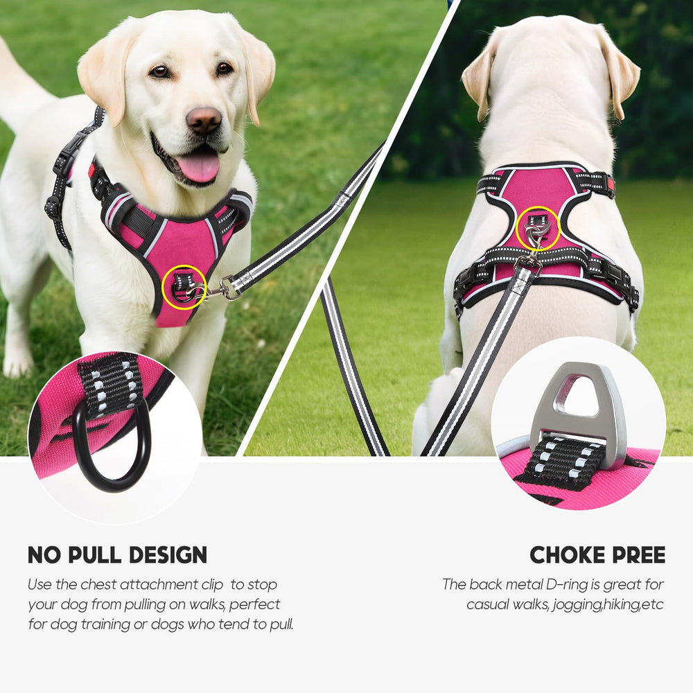 Timos No Pull Harness two leash rings for front no pull and back casual walks