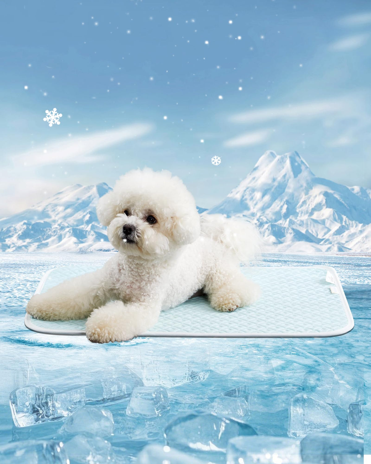 TIMSUNBER Dog Cooling Mat in use on floor shows quick cooling comfort