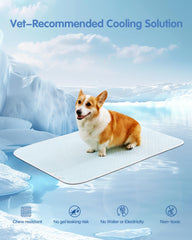 TIMSUNBER Dog relaxing on mat after play with soothing coolness