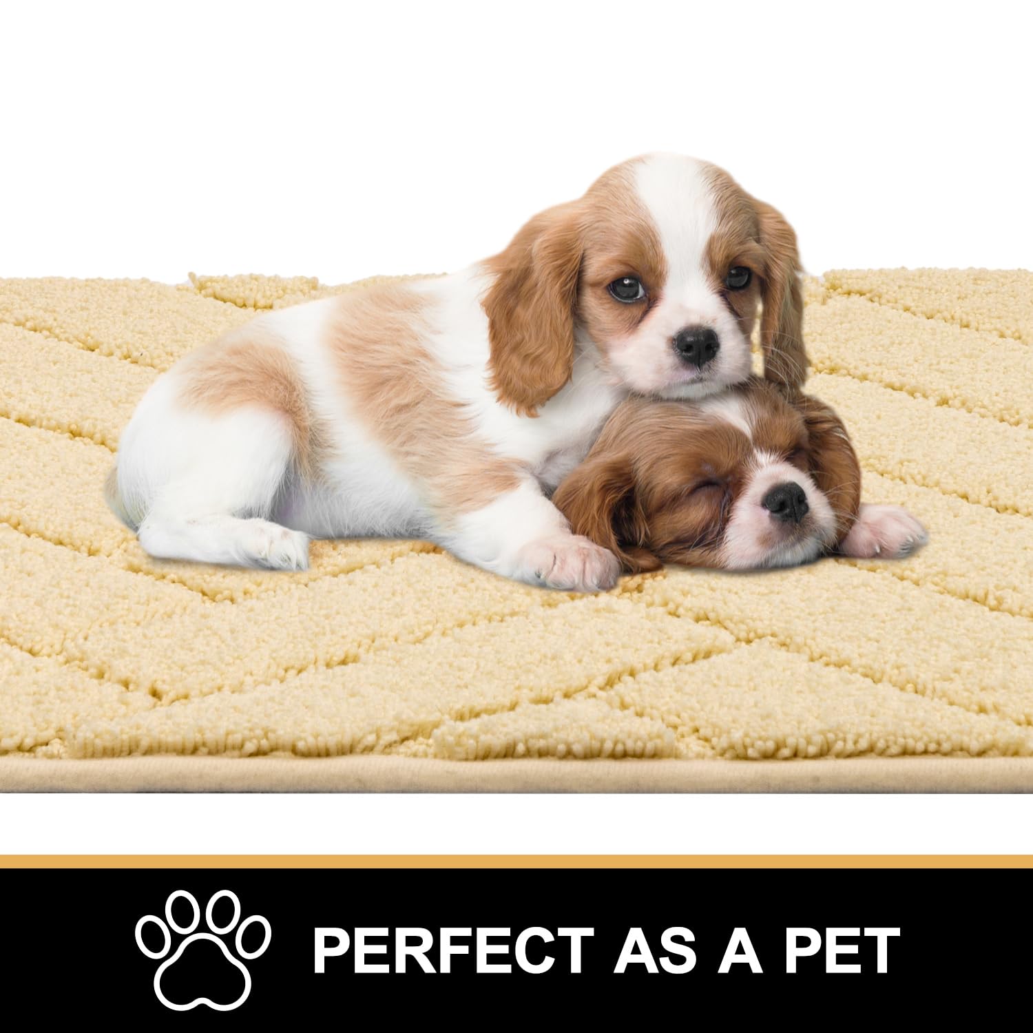 Tindbea entryway mat beige absorbs moisture and dirt from paws