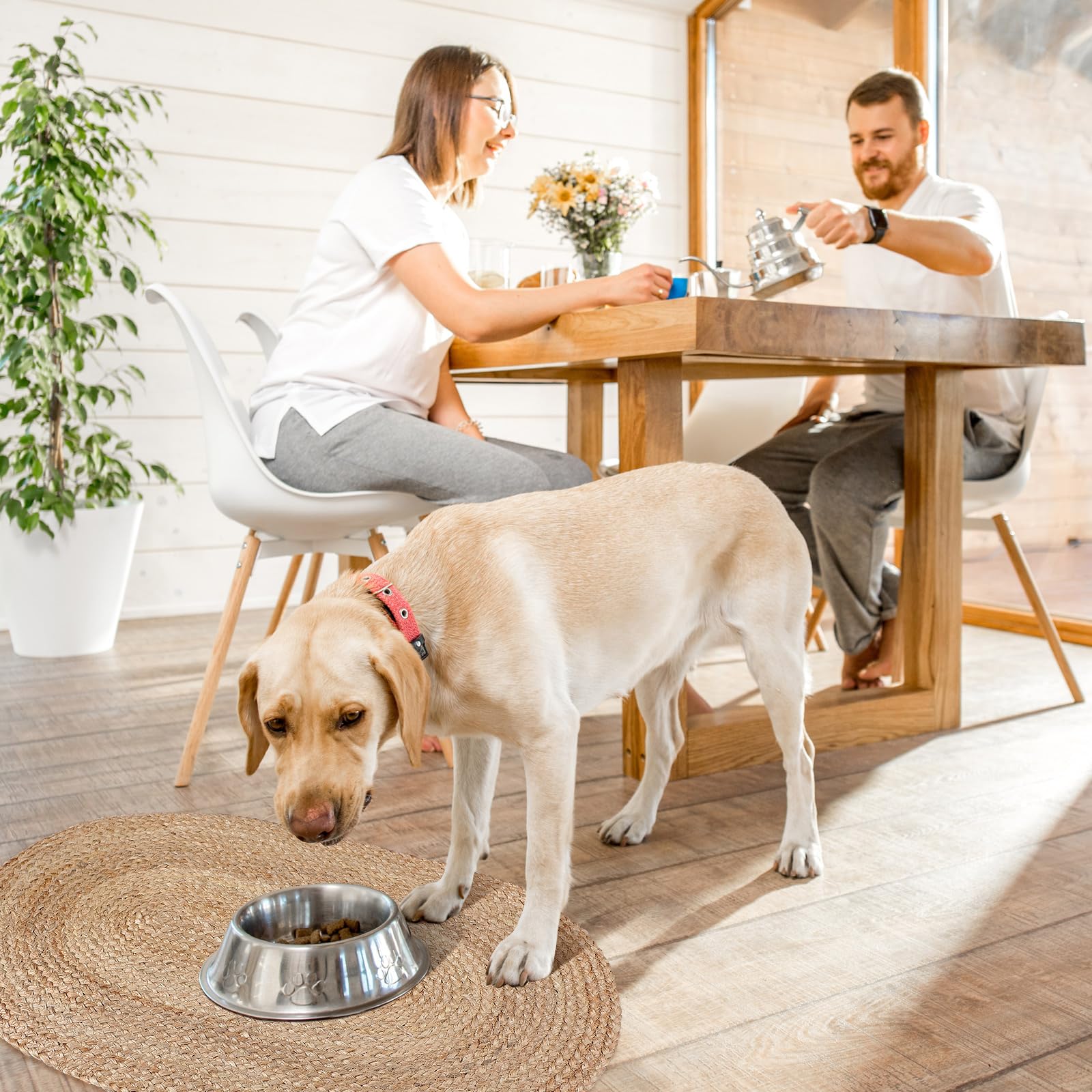 Tinideya cozy dining area dog mat doubles as decor near bowls