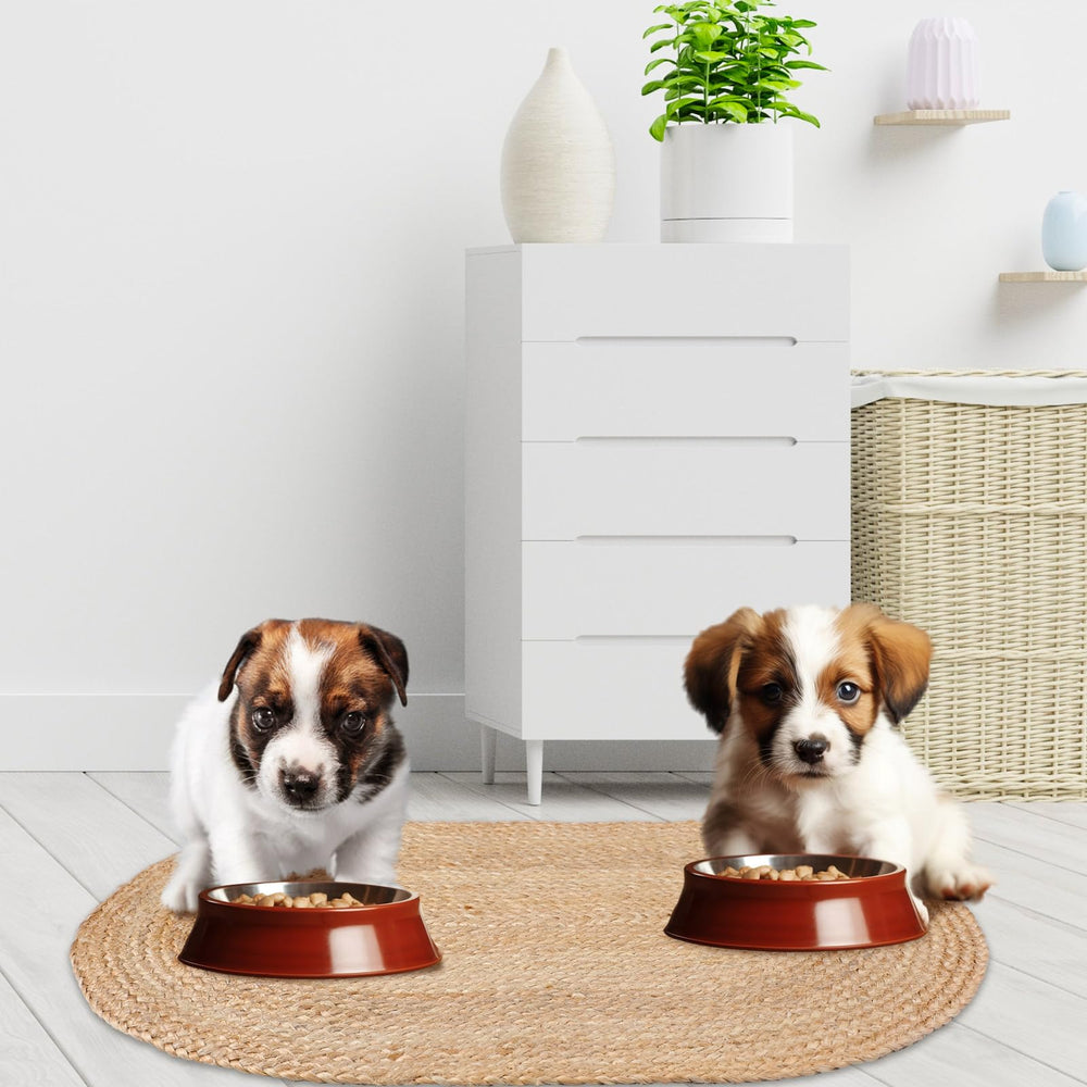 Tinideya easy-clean pet mat ready for quick post-meal tidying