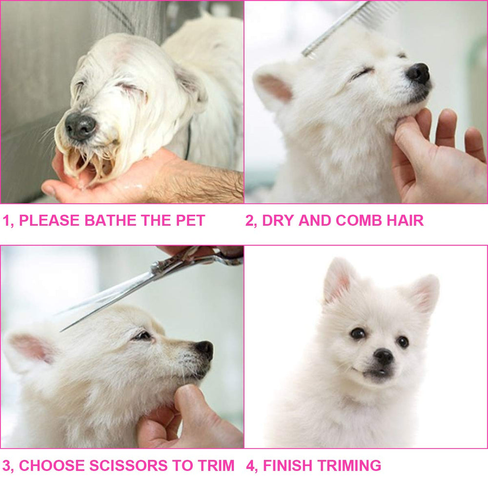 TINMARDA storage box keeping dog grooming tools organized