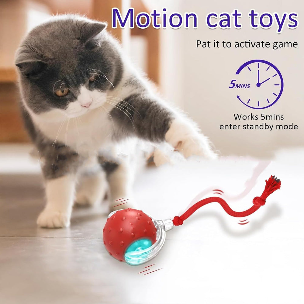 Tiny Fetch Toy durable silicone red withstands bites and rough play.