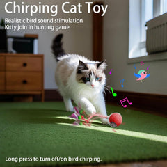 Tiny Fetch Toy obstacle-avoidance red helps safe indoor exploration.