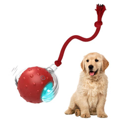 Tiny Fetch Toy 360-degree roller in red for engaging indoor play.