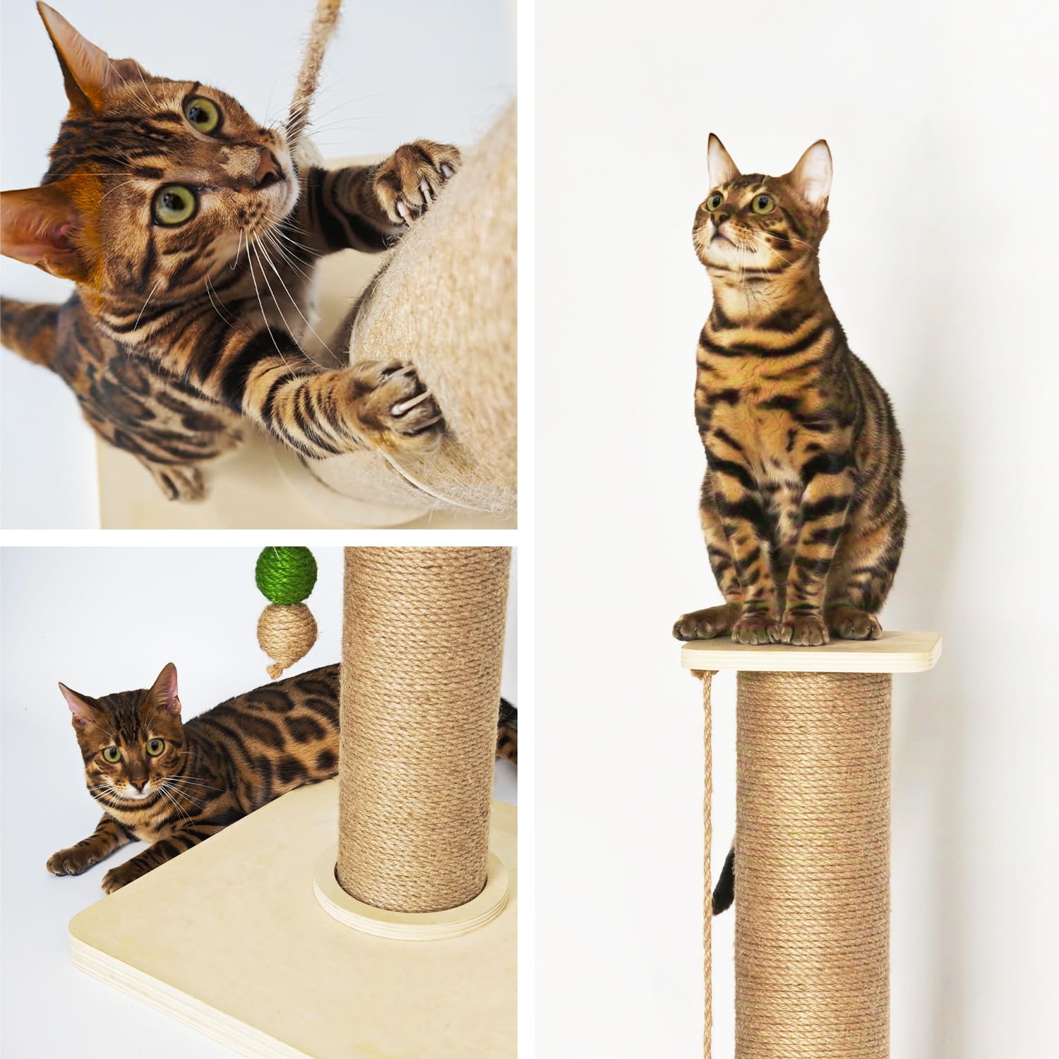 TinyBeast reduces furniture damage by guiding claws into the post.