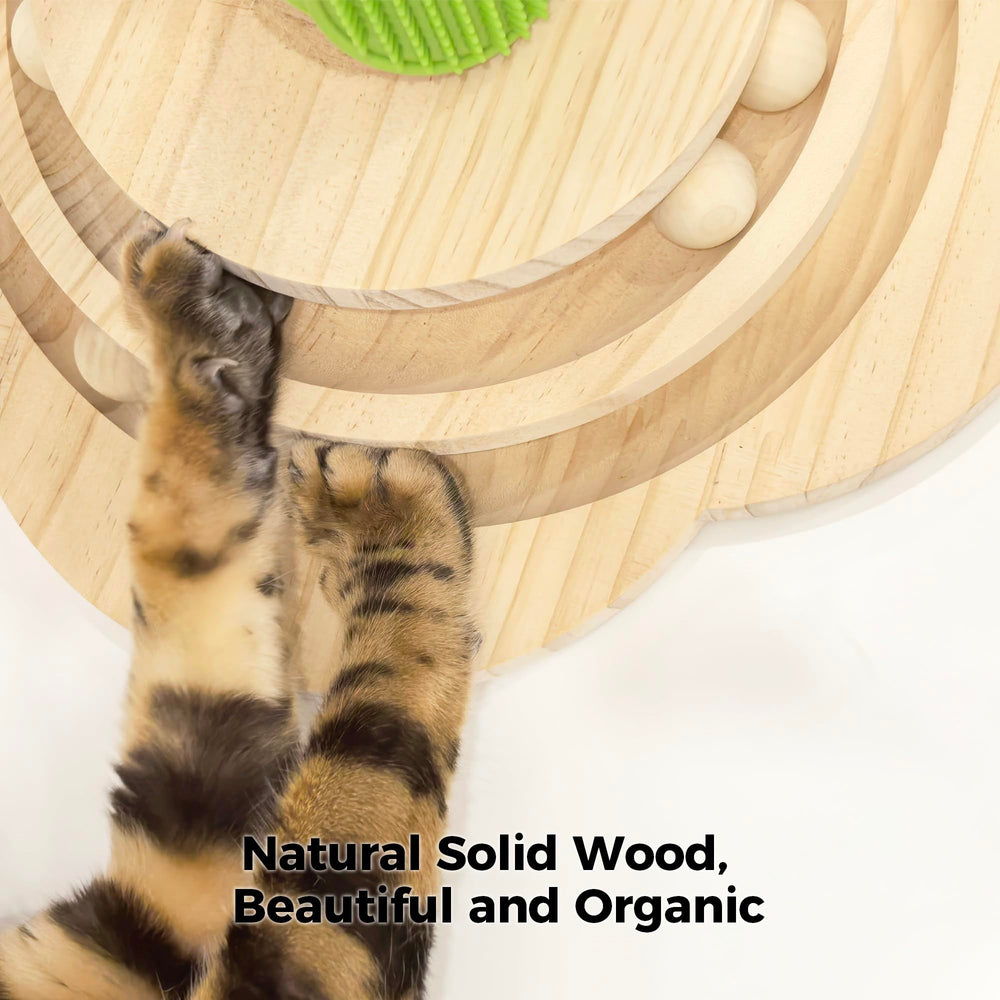 TinyBeast dual-layer ball track promotes batting, chasing, and exercise