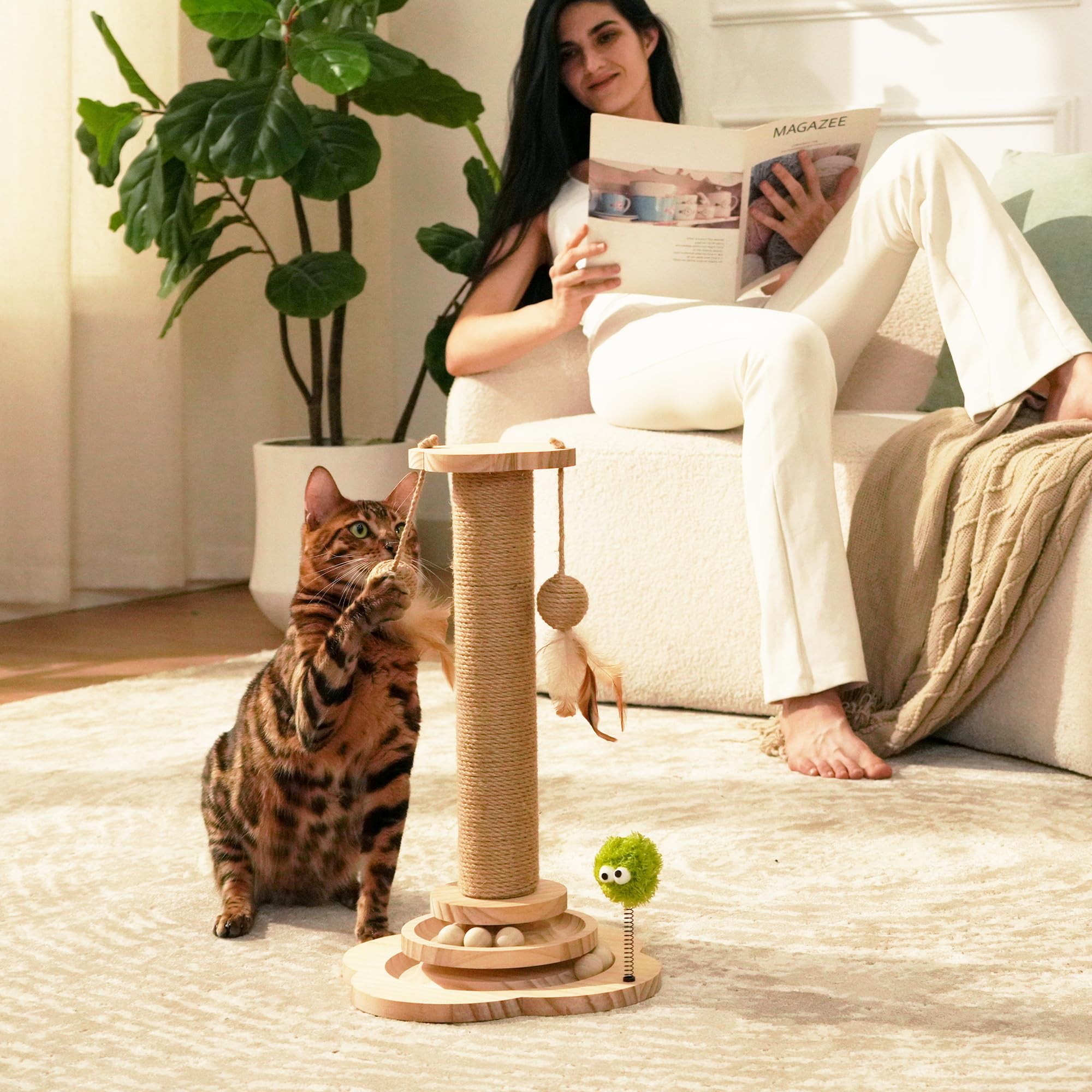 TinyBeast 4-in-1 design supports scratching, batting, bouncing, and jumping for indoor cats.
