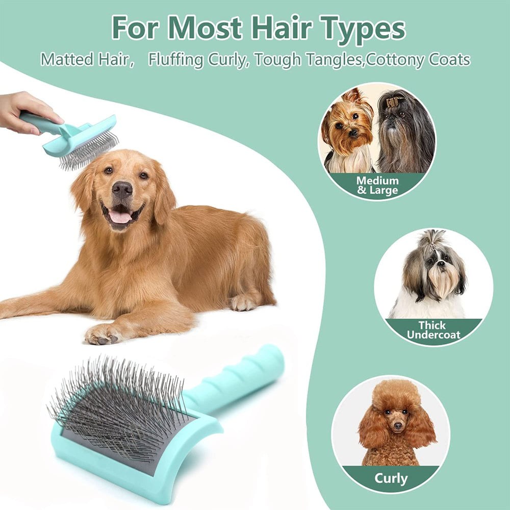 Diseño de TinyPoint compatible con perros y gatos para resultados consistentes