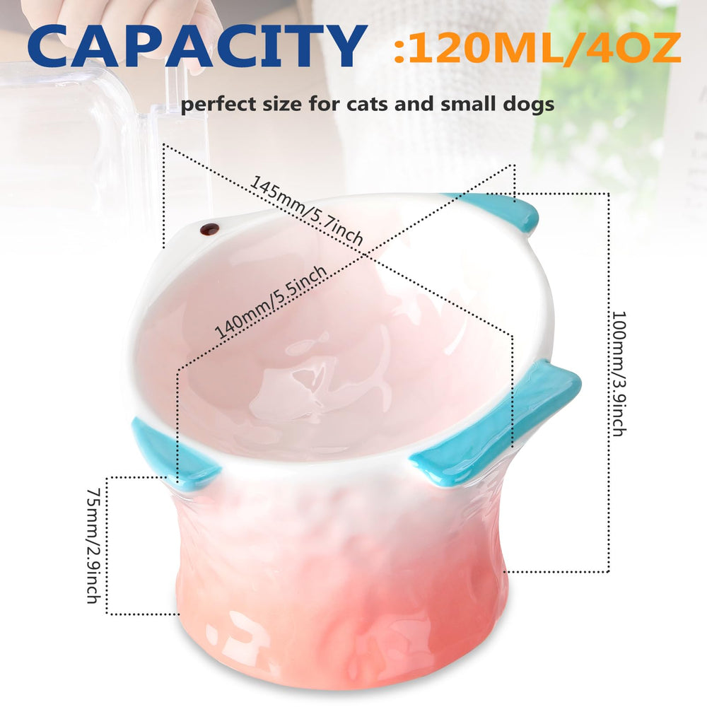 Tioncy easy-clean ceramic cat bowl surface for quick hygiene