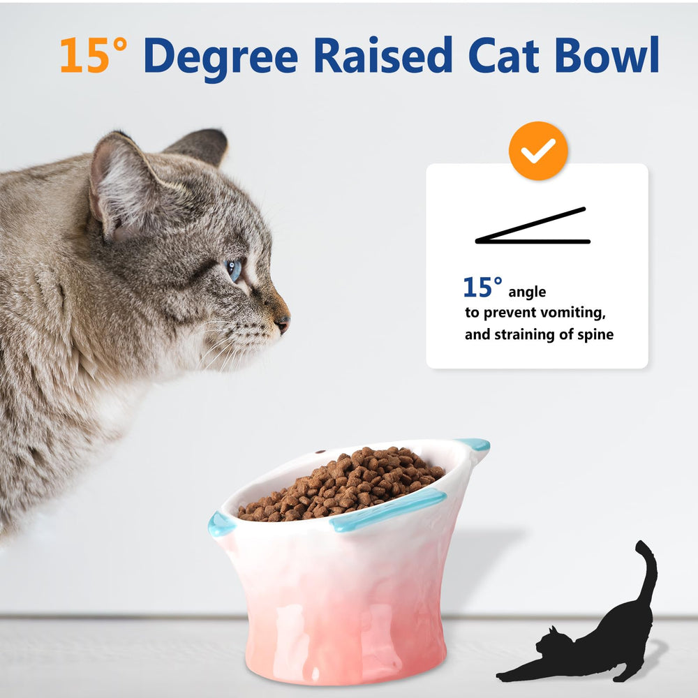 Tioncy ceramic elevated cat bowl with blue non-slip base stays steady