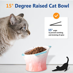 Tioncy ceramic elevated cat bowl with blue non-slip base stays steady