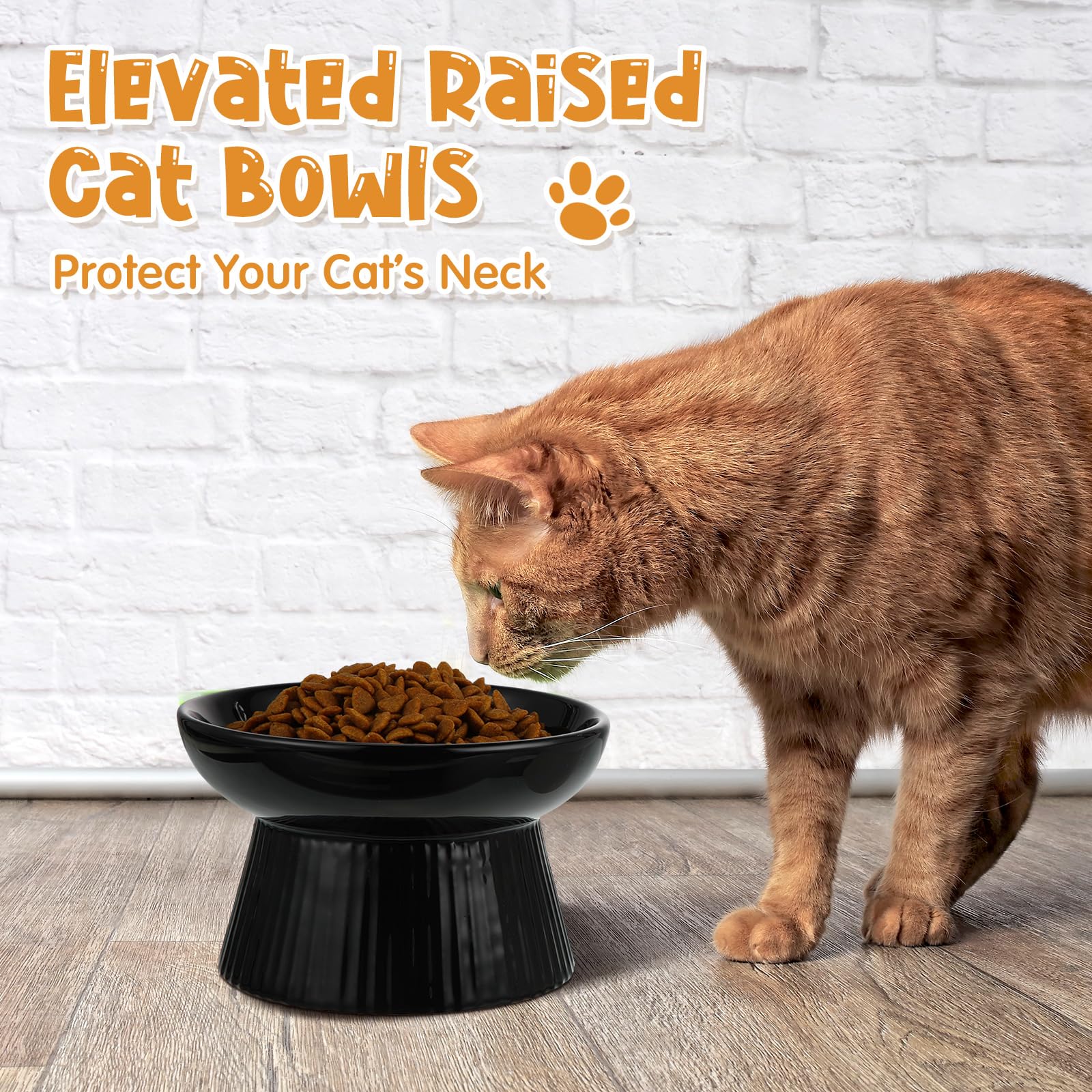 Tioncy dishwasher-safe ceramic cat bowls simplify cleanup after meals.