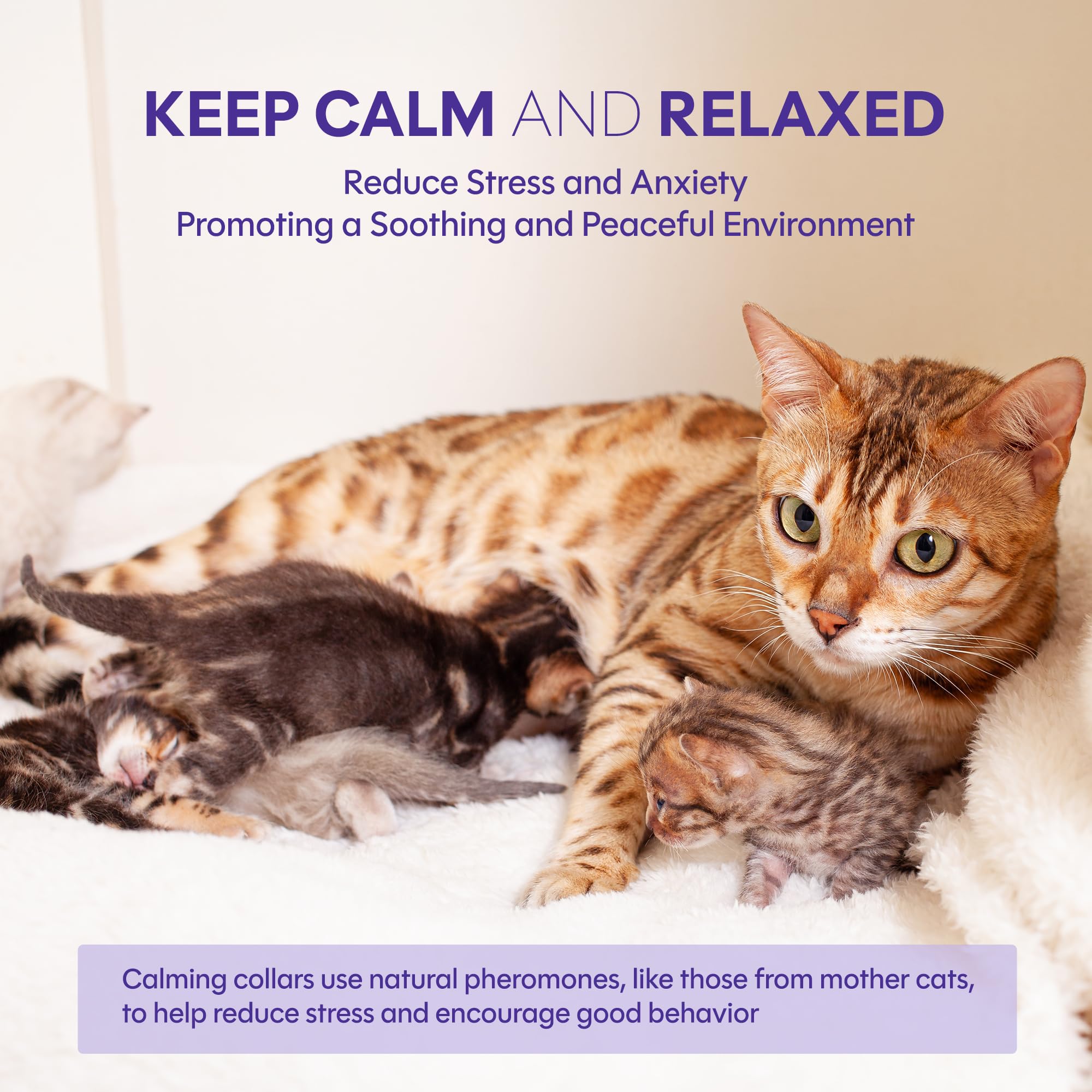 TIOUPI cat calming collar closeup—pheromone release area supports calmer behavior during travel.