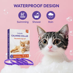 TIOUPI cat calming collar on neck—adjustable safety-fit for cats of all sizes.