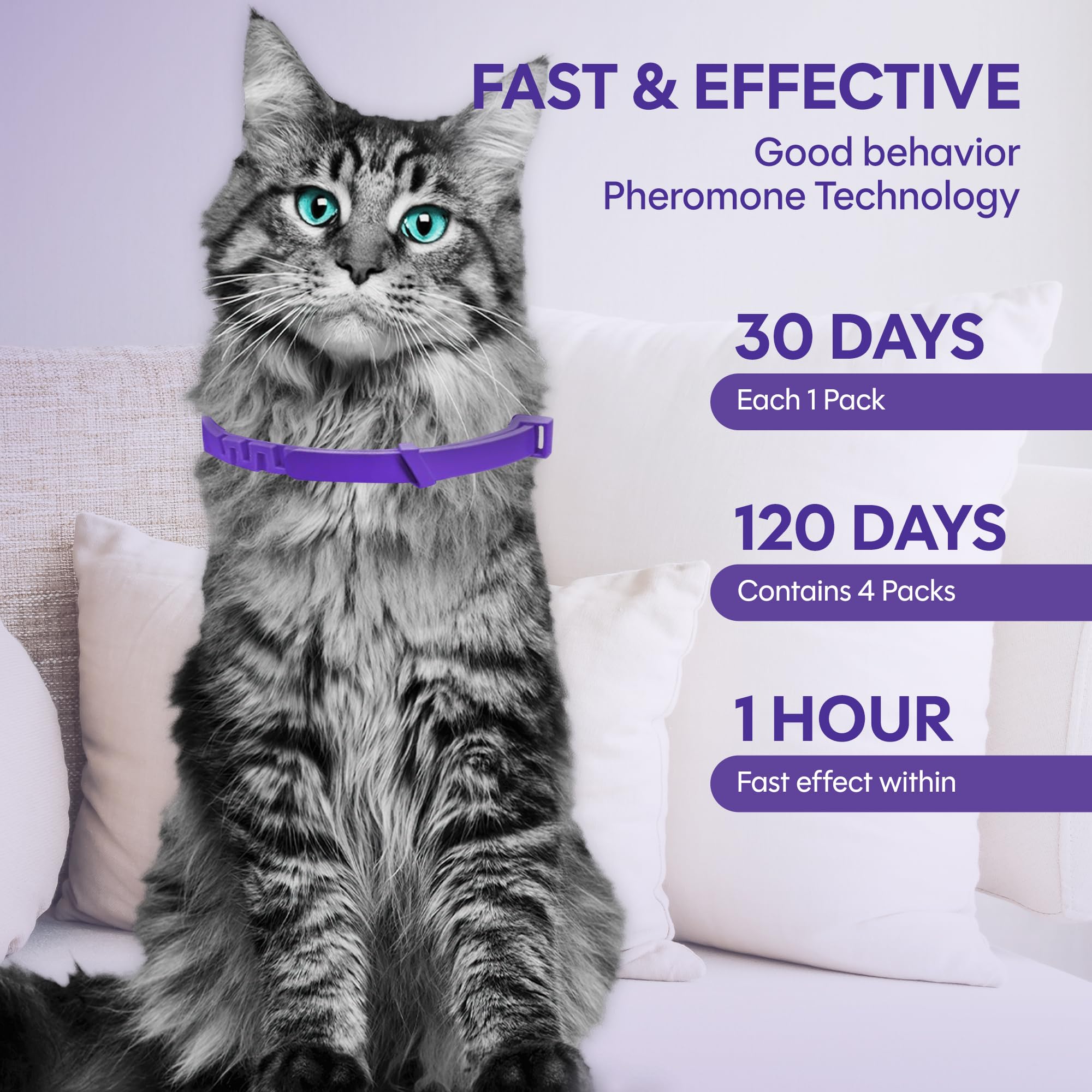 TIOUPI cat calming collar water-resistant design—durable during daily activities and baths.