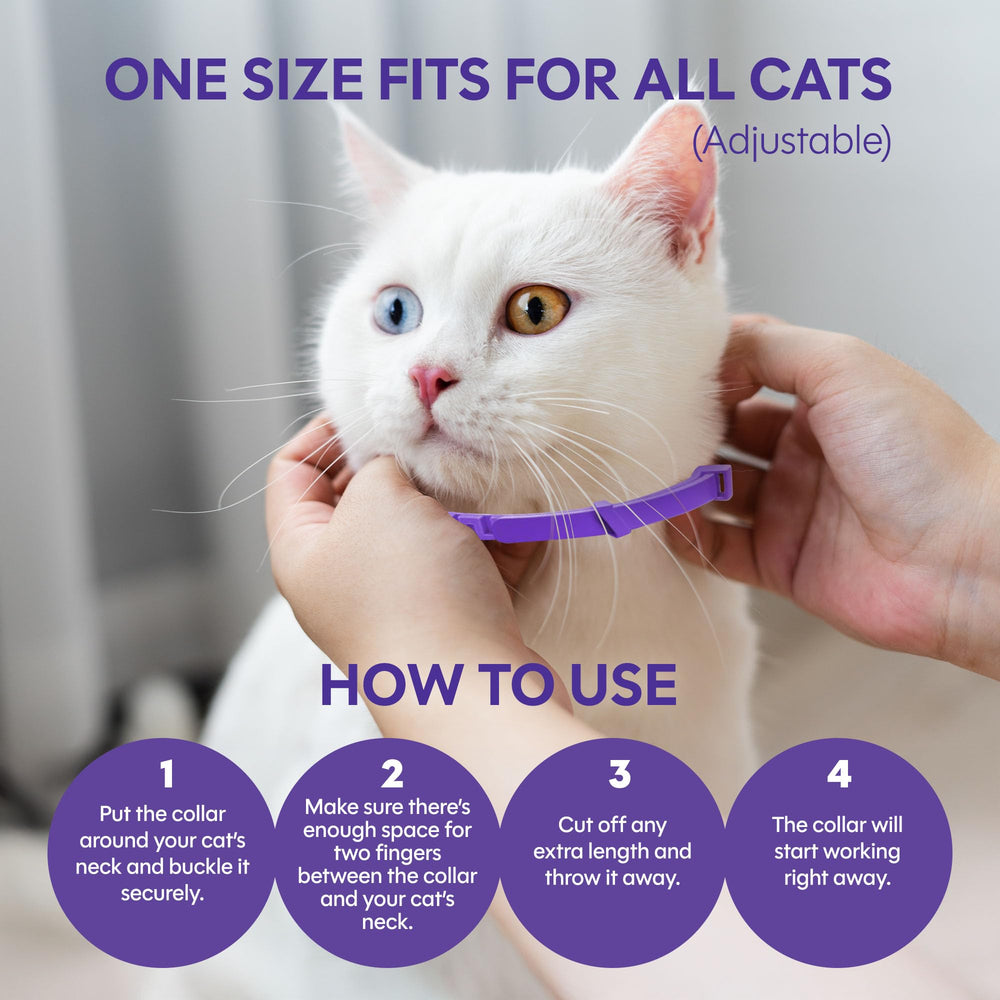TIOUPI calming collars for home and travel—ideal for multi-cat households.