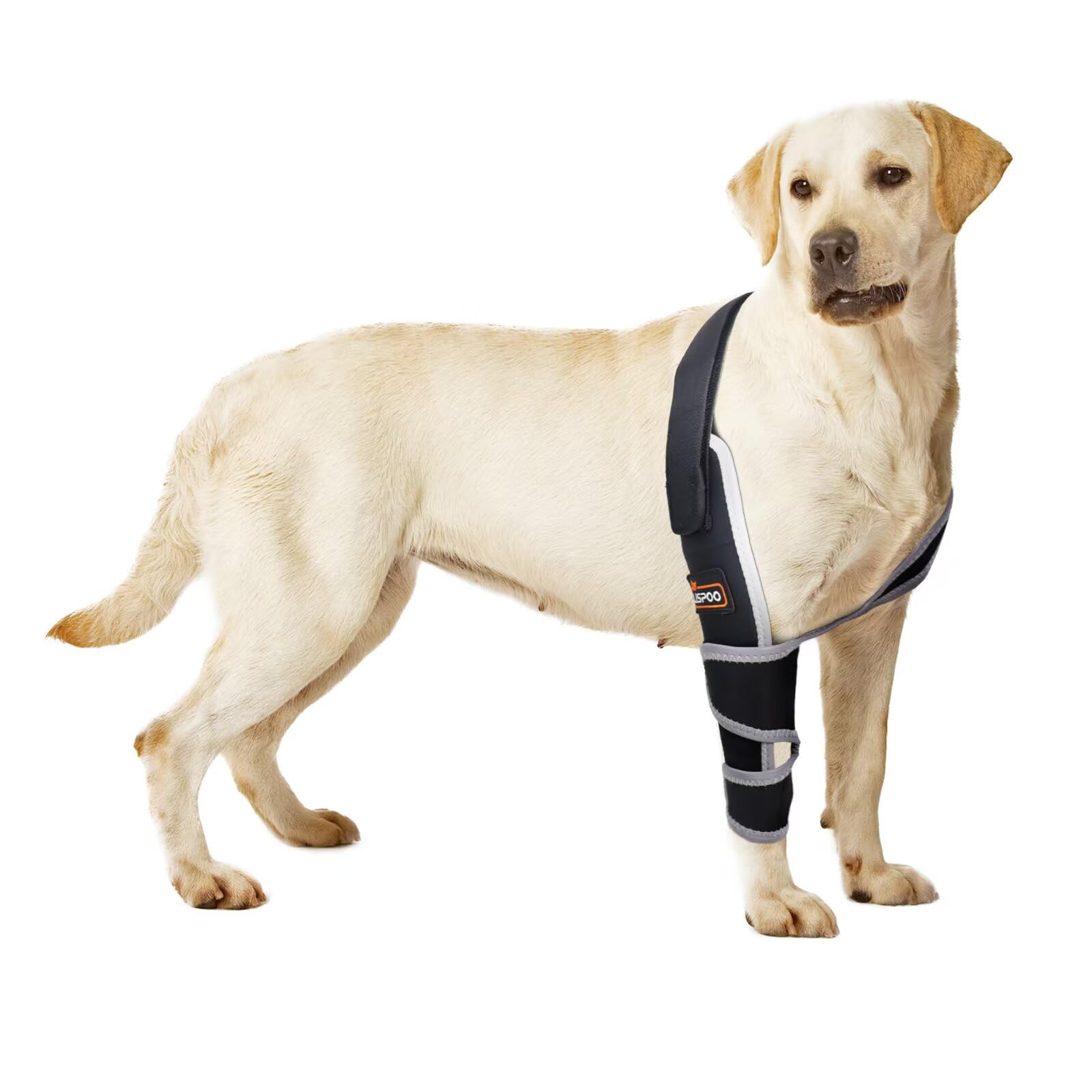 TIPOOP dog elbow protector elbow-area provides secure daily support during walks.