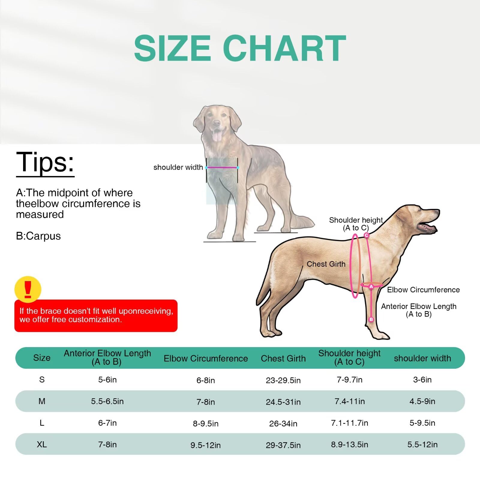 TIPOOP dog elbow protector quick-fit-velcro offers six-size compatibility.