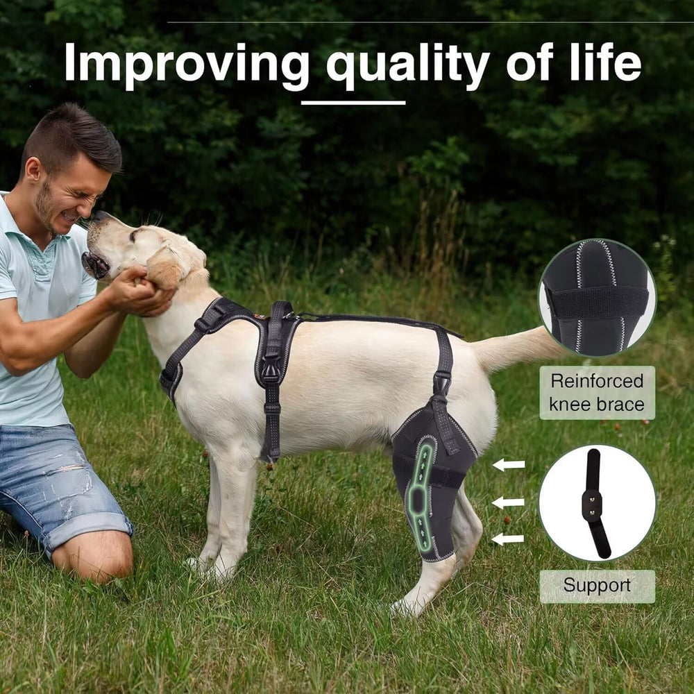 TIPOOP dog knee brace back view highlights stable hind-leg wrap for knee alignment.