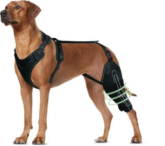 TIPOOP dog knee brace front view shows integrated chest and back support for secure wear.