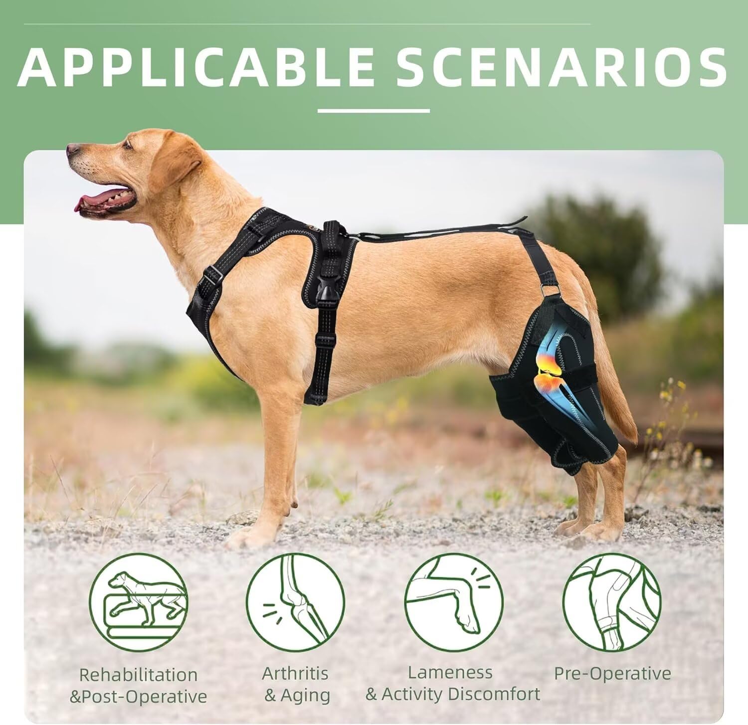 TIPOOP dog knee brace side view with strap demonstrates adjustable fit for comfortable walks.