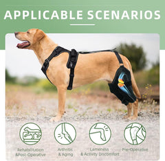 TIPOOP dog knee brace side view with strap demonstrates adjustable fit for comfortable walks.