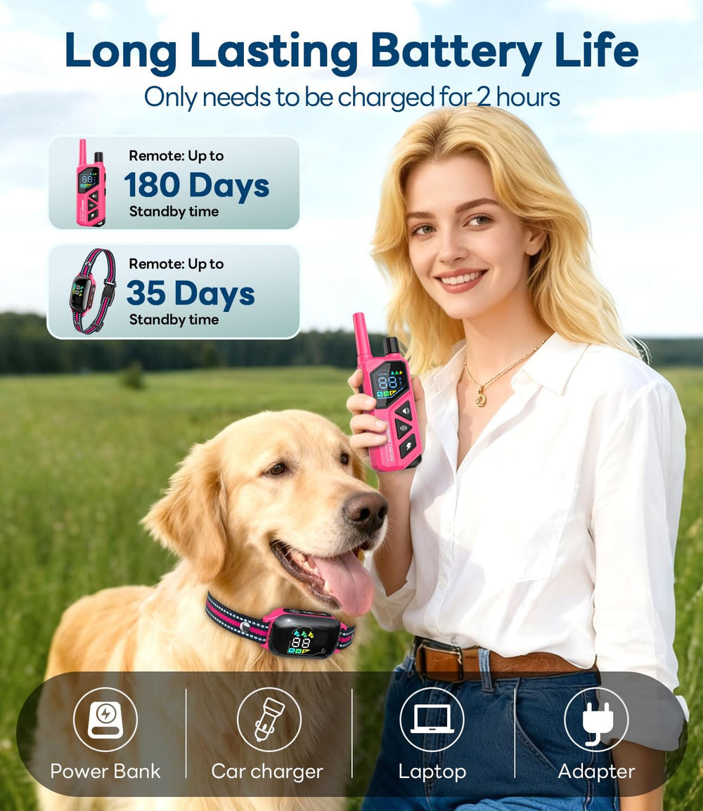TISOOG collar flashlight aids night walks and backyard training.
