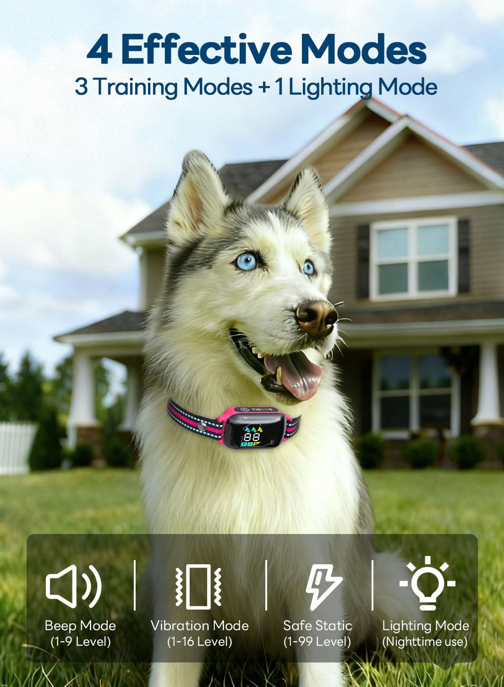 TISOOG training collar 3300ft range supports outdoor training without shouting.